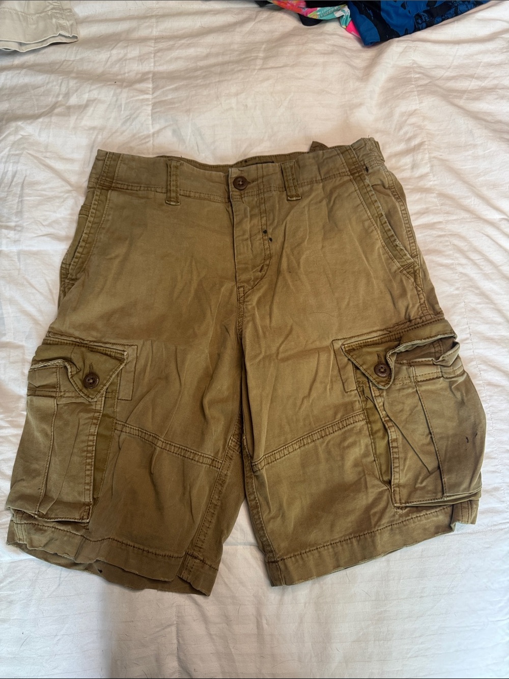 American Eagle Outfitters Men's Cargo Shorts in Olive